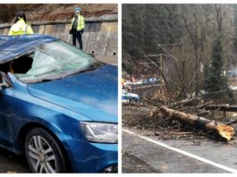 O femeie a murit după ce un copac a căzut pe mașina în care se afla cu familia (sursa foto: cancan.ro)