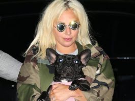 Doi dintre câinii cântăreței Lady Gaga au fost furați.