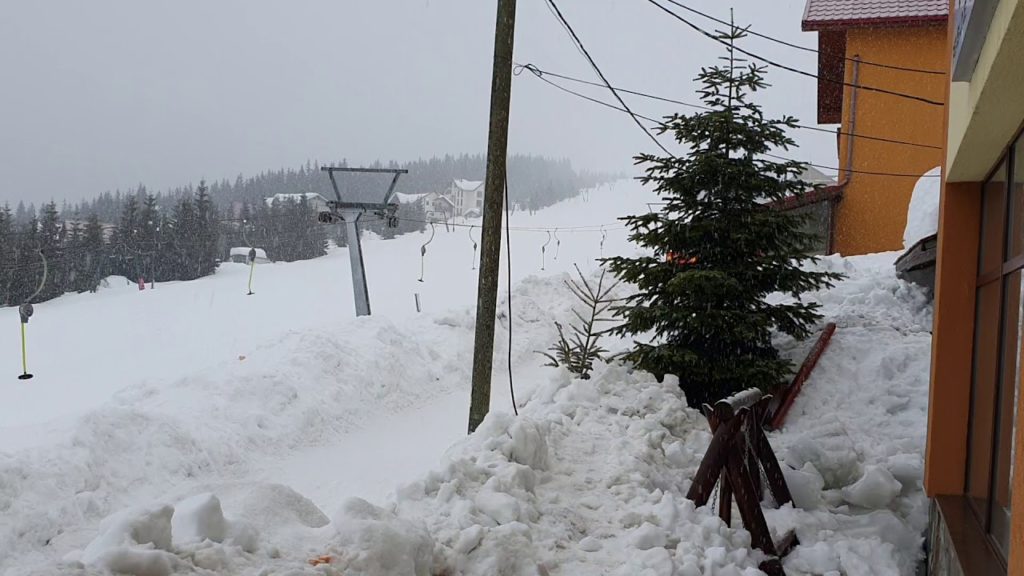 Ninge abundent la Rânca