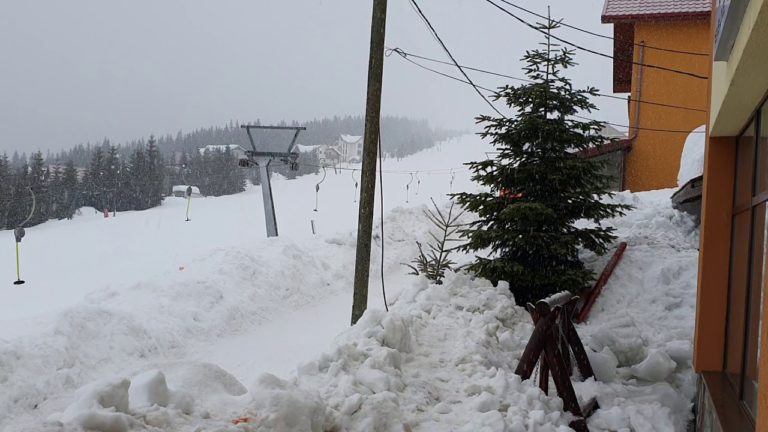 Ninge abundent la Rânca
