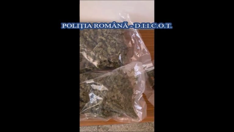 (VIDEO): Trei kilograme de droguri, confiscate