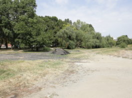În Parcul Corniţoiu nu va mai apărea „Dracula Park“, proiectul pentru care există deja un studiu de fezabilitate aprobat în Consiliul Local