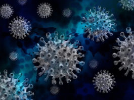 3 de noi cazuri de infectare cu SARS-CoV-2, confirmate în ultimele 24 de ore. România rămâne în întregime în scenariul verde