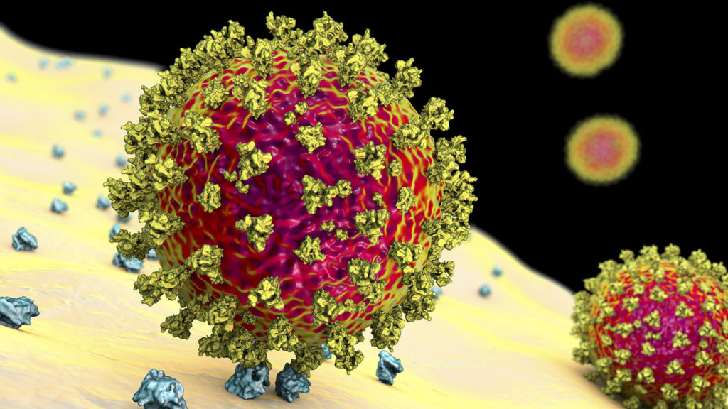 În lume circulă peste 4.000 de variante ale noului coronavirus, spune un oficial britanic