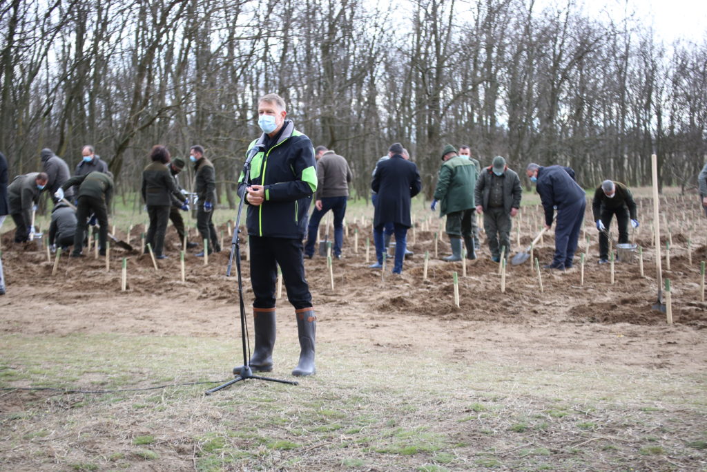 Iohannis şi Operaţiunea „Salcâmul” din patria pepenilor