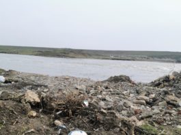 Rezultatele analizelor efectuate pe cele 21 de ape dulci indică prezența microplasticului în toate probele analizate