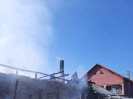 Au intervenit două echipaje de pompieri din cadrul Stației Vânju-Mare cu două autospeciale de lucru cu apă și spumă