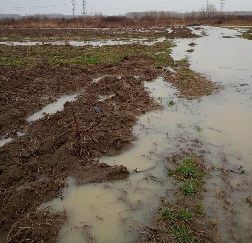 Trei localități din Olt, afectate de ploi