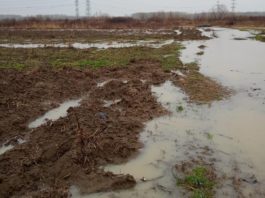 În urma precipitațiilor din ultimele zile au fost afectate trei localități din județul Olt
