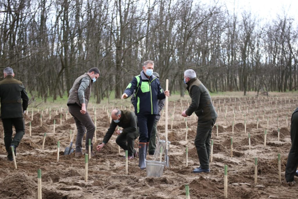 (Galerie foto): Iohannis şi Cîţu în Operaţiunea „Salcâmu’“ din patria pepenilor