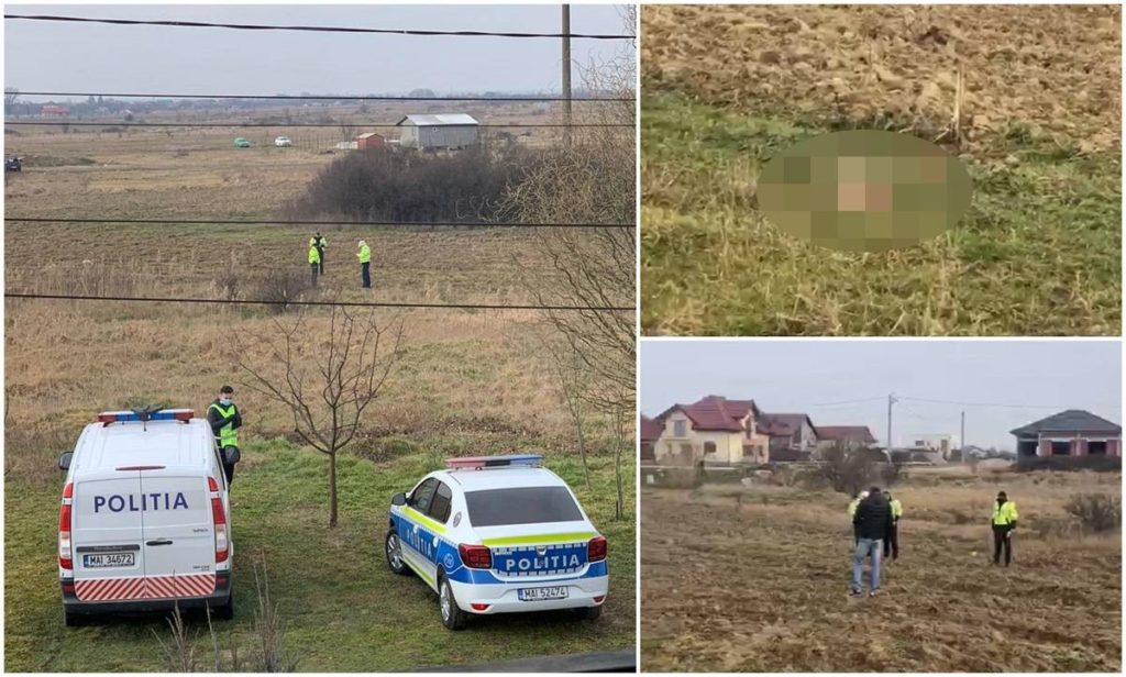 Trupul neînsufleţit al unui nou-născut, găsit pe un câmp lângă Timişoara