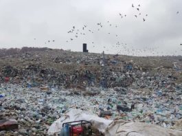 Depozitul de gunoi de la Târgu Jiu, cea mai mare sursă de poluare din Târgu Jiu