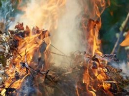 Arderea frunzelor şi resturilor vegetale, interzisă pentru că poluează aerul