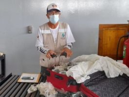 Valiză cu 185 de țestoase, descoperită pe aeroportul din Galapagos