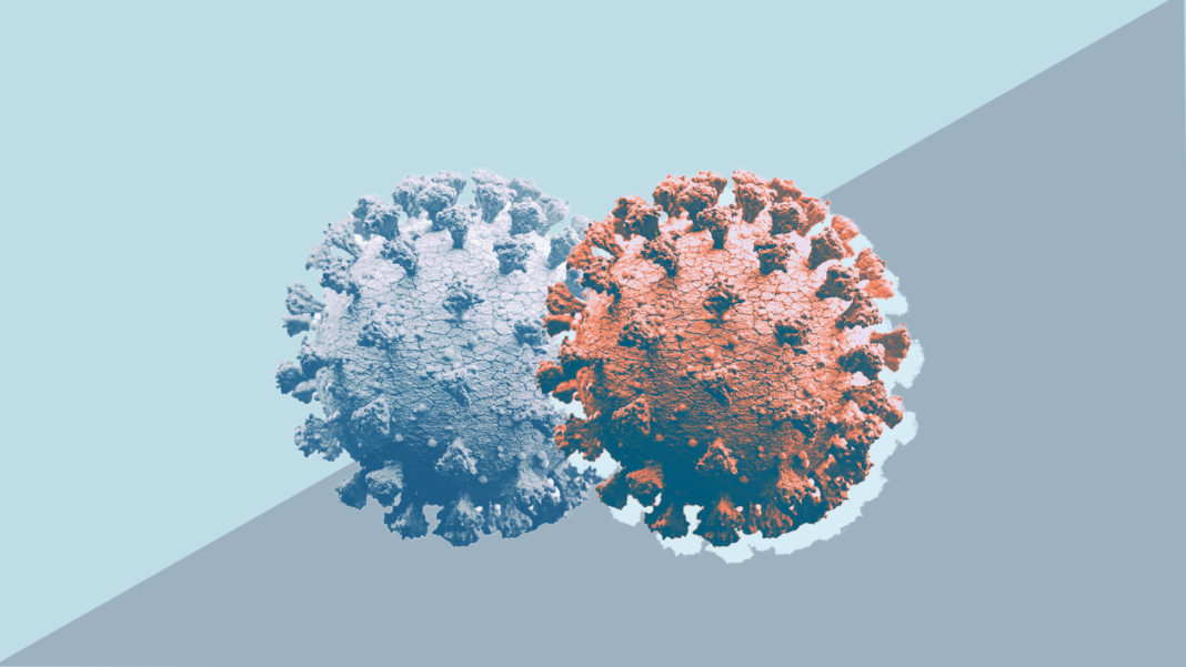 Au fost confirmate 546 de cazuri de infectare cu noi variante ale noului coronavirus, dintre care 542 cu varianta britanică