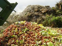 Oamenii aruncă anual aproape un miliard de tone de alimente