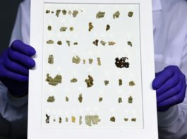 Arheologii au descoperit un nou manuscris biblic la Marea Moartă