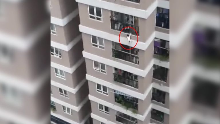 Un curier a salvat o fetiță care a căzut de la etajul 12