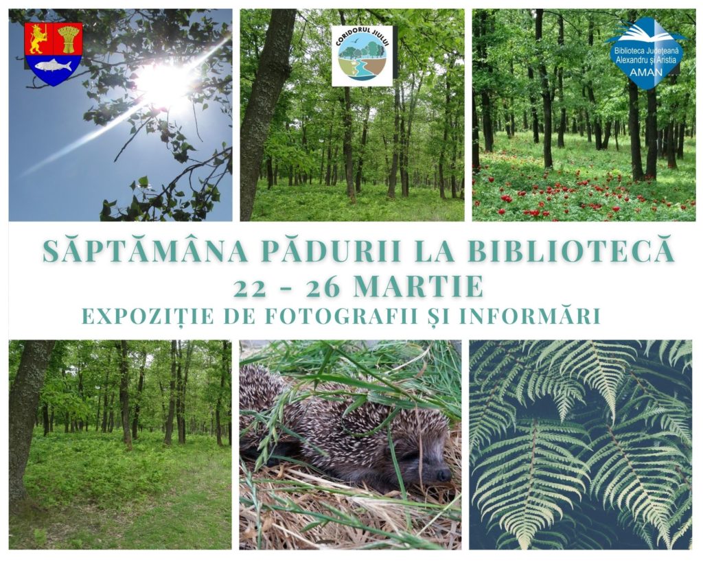 Sesiune online de educație ecologică la Biblioteca Aman