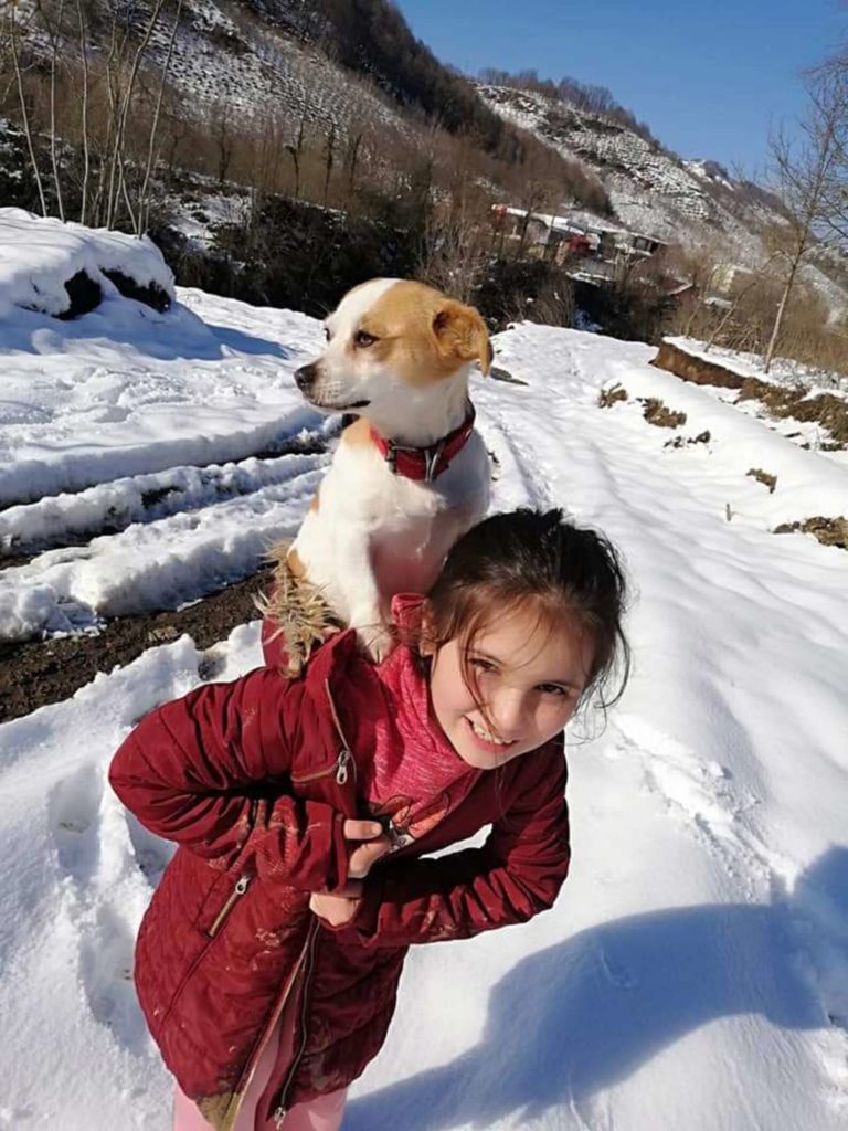 O fetiță și-a cărat în spate, prin zăpadă, câinele bolnav ca să-l salveze