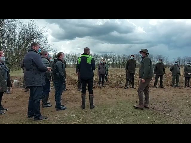 VIDEO: Președintele Iohannis și premierul Cîțu au dat startul împăduririi la Dăbuleni