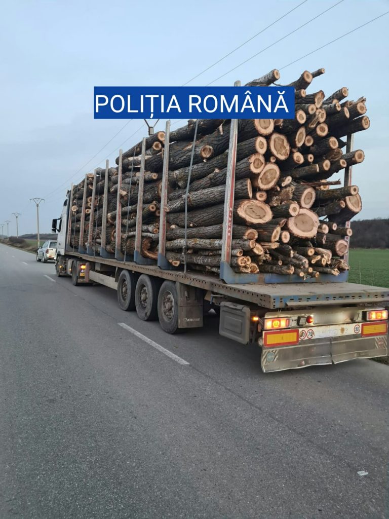 Olt: Material lemnos de peste 15.000 de lei, confiscat
