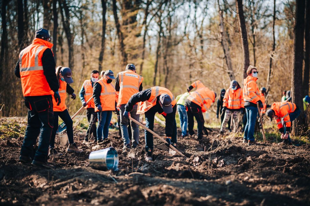 © Marius Godeanu - http://www.mgphotography.ro Angajații Clariant Romania implicați activ în acțiunea de plantare de copaci, în cadrul „Lunii Plantării Arborilor“