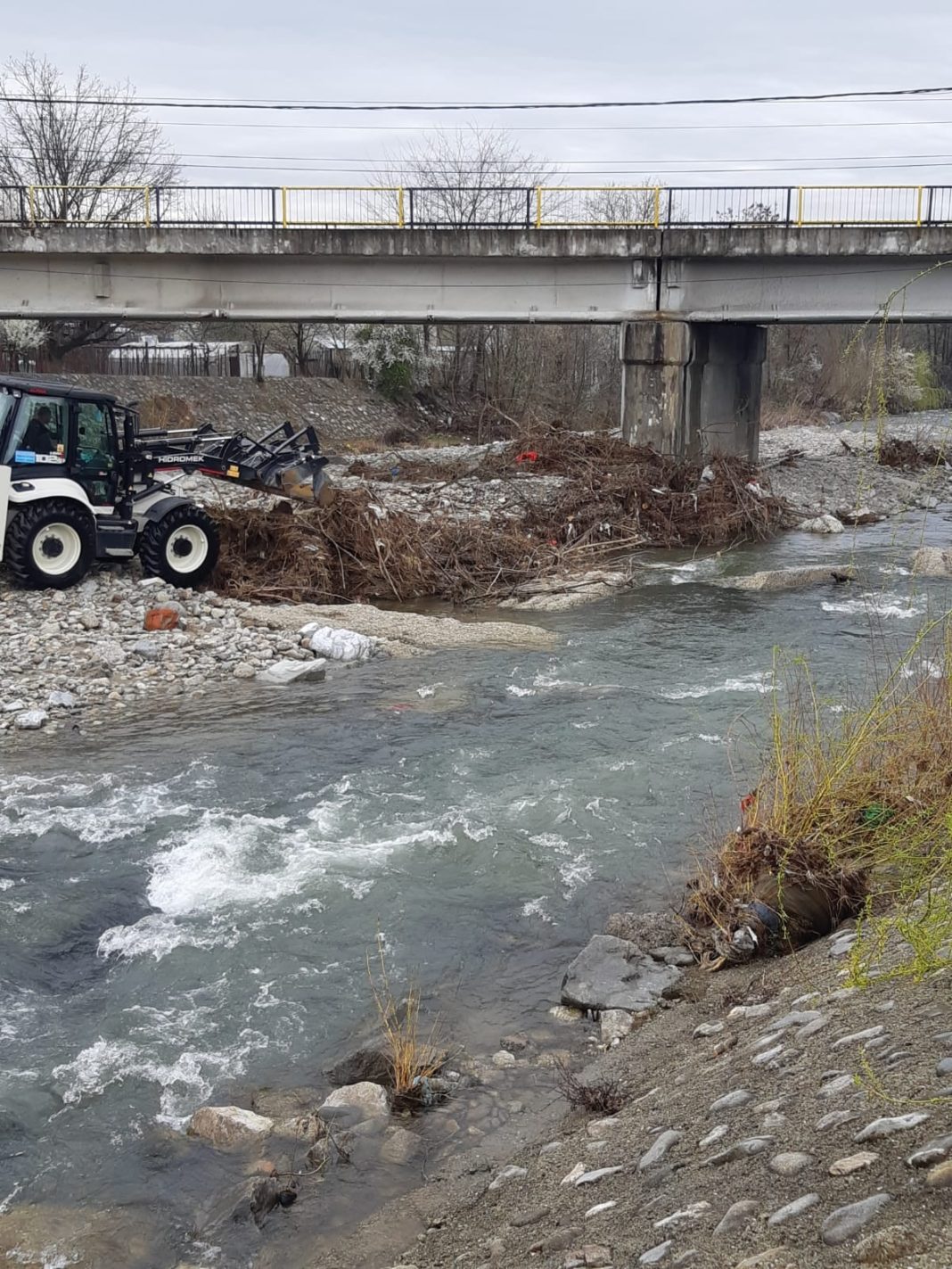 SGA a început să îndepărteze lemnele din albiile râurilor