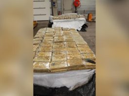 Aproape 28 de tone de cocaină confiscate, după ce poliția a accesat un serviciu criptat de comunicare