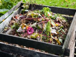 Cum reciclăm resturile vegetale din gospodărie
