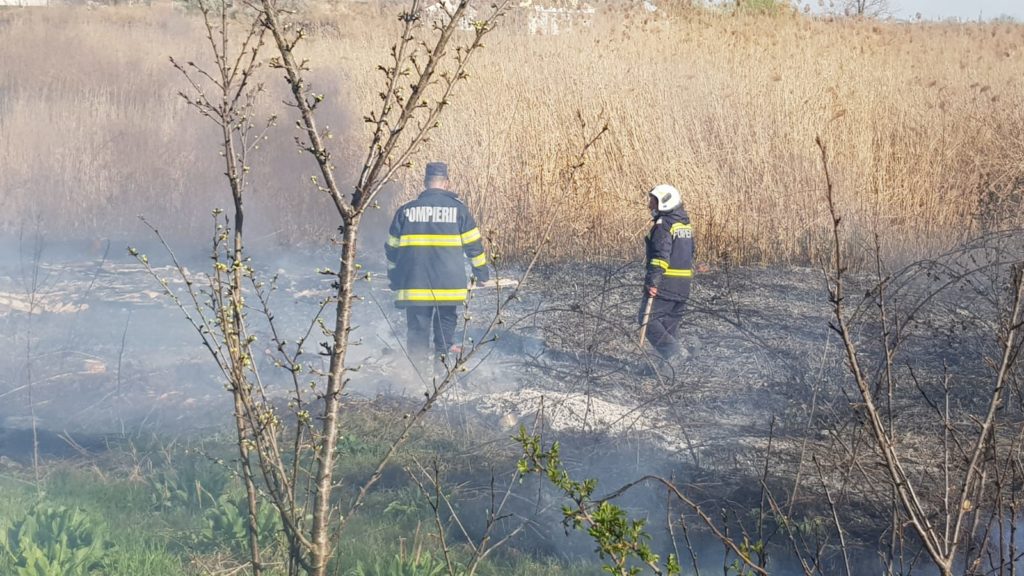 UPDATE. VIDEO / Incendiu de vegetație uscată la Mofleni. De la ce a pornit focul