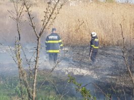 Un bărbat și-a pierdut viața într-un incendiu de vegetație