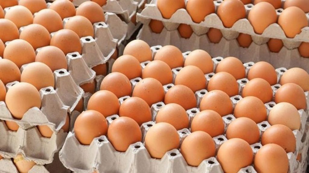 Lot de 265.000 de ouă contaminate cu Salmonella, oprit de la comercializare