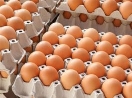 Sute de mii de ouă cu origine falsificată au ajuns pe piața din România