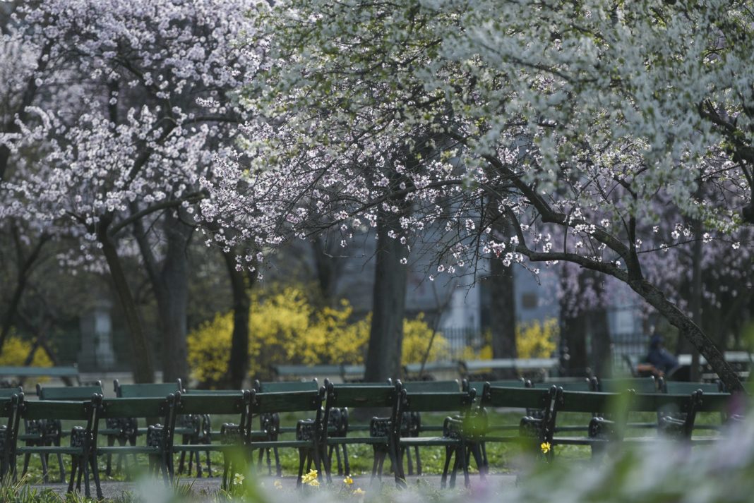 Prognoza meteo pentru următoarele patru săptămâni