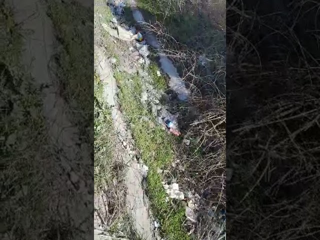 VIDEO.Război între localnicii din Golenţi şi Basarabi şi tirişti