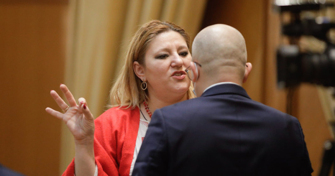 Membrii Comisiei Juridice din Senat, şedinţă secretă de teama Dianei Șoșoacă