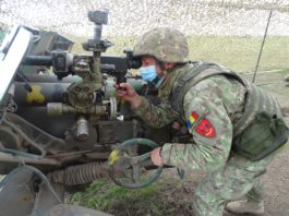 Aproximativ 1700 de militari români și aliați cu 250 de mijloace tehnice vor participa la exercițiul multinațional SCORPIONS LEGACY 2021