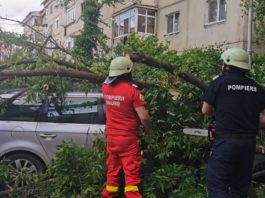 Pompierii craioveni au acționat în această după amiază degajarea unor copaci care au căzut pe câteva autoturisme, în urma rafalelor de vânt.