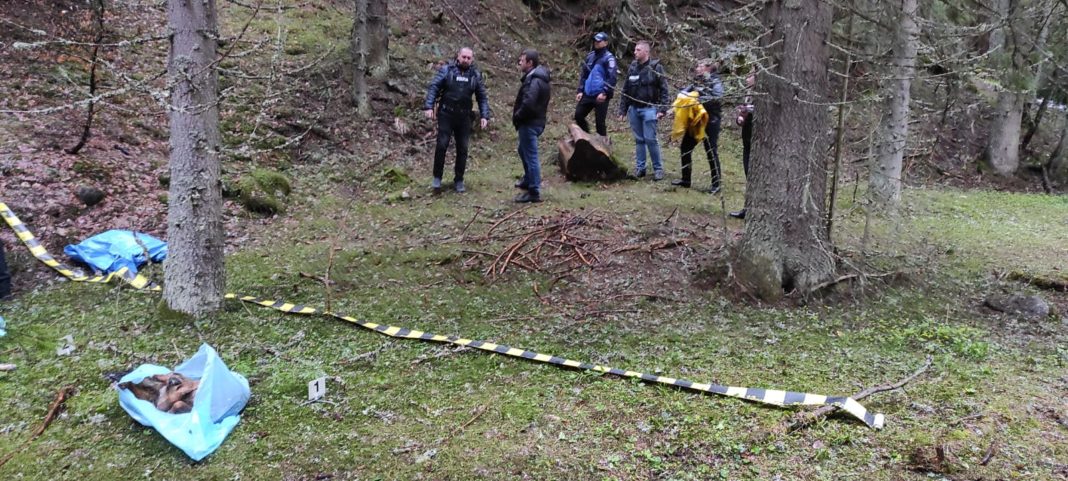 Cadavrele mai multor câini au împânzit Parcul Național Retezat