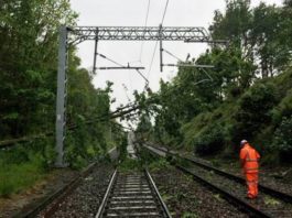 Un copac a rupt un fir de înaltă tensiune care a căzut pe linia de contact a căii ferate, în apropiere de Ploieşti