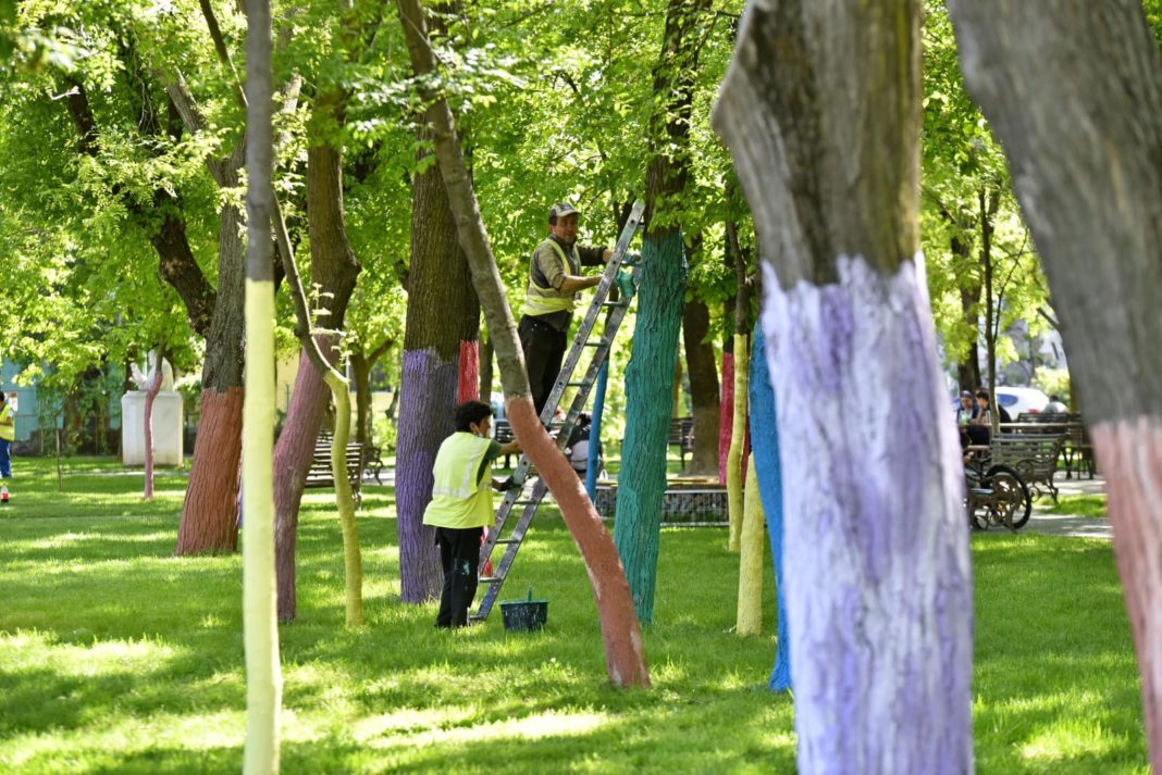 RAADPFL Craiova a colorat copacii din Parcul Puskin