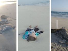 Copii morți aduși de valuri pe plajă, în Libia, după ce bărcile migranților s-au scufundat