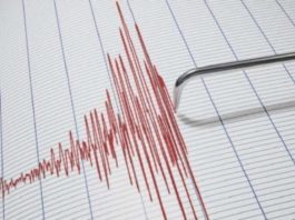 Cutremur cu magnitudinea 2,8