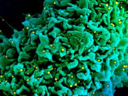 OMS: Vor apărea mai multe variante de coronavirus, dar ”știm ce să facem”
