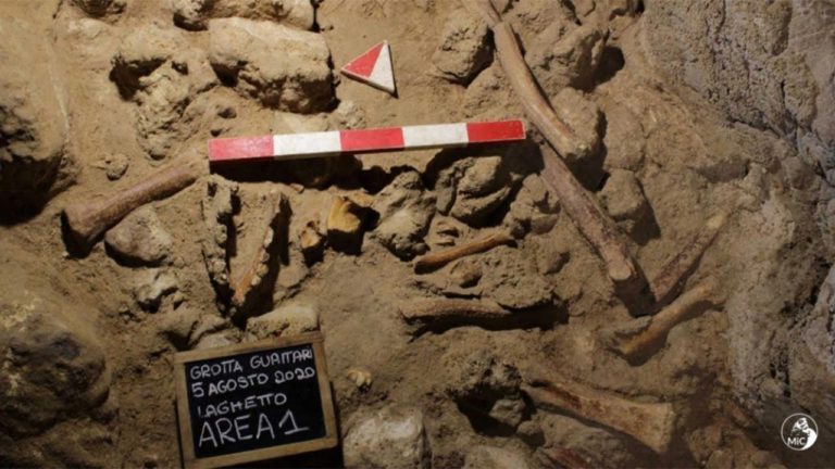 (VIDEO) Rămășițe de oameni de Neanderthal descoperite într-o peșteră din Italia