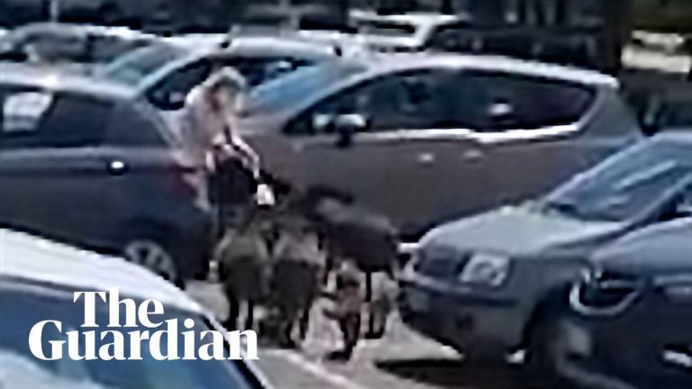 (VIDEO) O turmă de mistreți a atacat o femeie într-o parcare