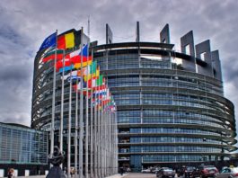 Parlamentul European sprijină o iniţiativă cetăţenească pentru o politică a UE privind migraţia