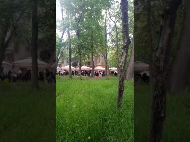 (VIDEO) Controale ale poliţiei în cluburi, baruri şi terase din Craiova. Amenzi în valoare de 16.000 de lei