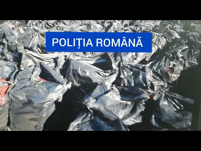 (VIDEO) Dolj: Percheziții la persoane bănuite de contrabandă
